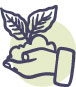Les Jeunes pousses - pictogramme main avec plante