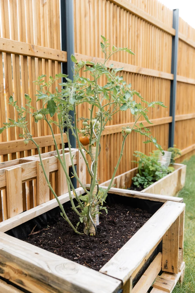 Des jardinières sont installées dans le jardin d'une micro-crèche.